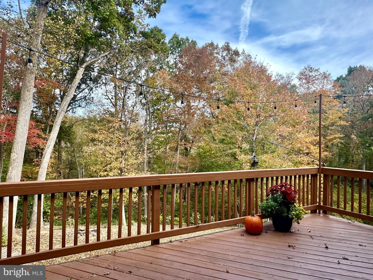 10747 BRIDLEREIN CT, SPOTSYLVANIA, Virginia 22553, 3 Bedrooms Bedrooms, ,2 BathroomsBathrooms,Residential,For sale,10747 BRIDLEREIN CT,VASP2037774 MLS # VASP2037774