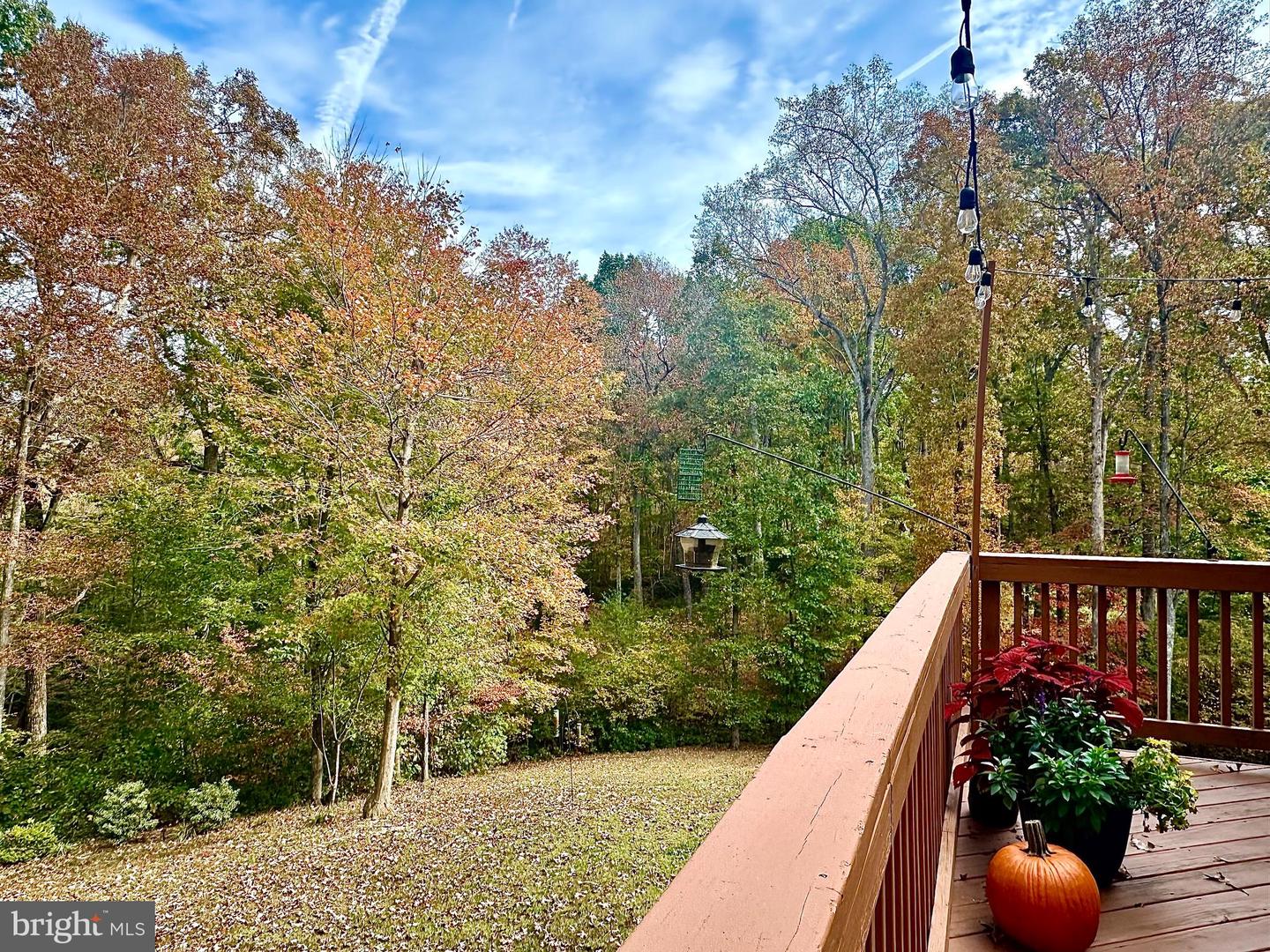 10747 BRIDLEREIN CT, SPOTSYLVANIA, Virginia 22553, 3 Bedrooms Bedrooms, ,2 BathroomsBathrooms,Residential,For sale,10747 BRIDLEREIN CT,VASP2037774 MLS # VASP2037774