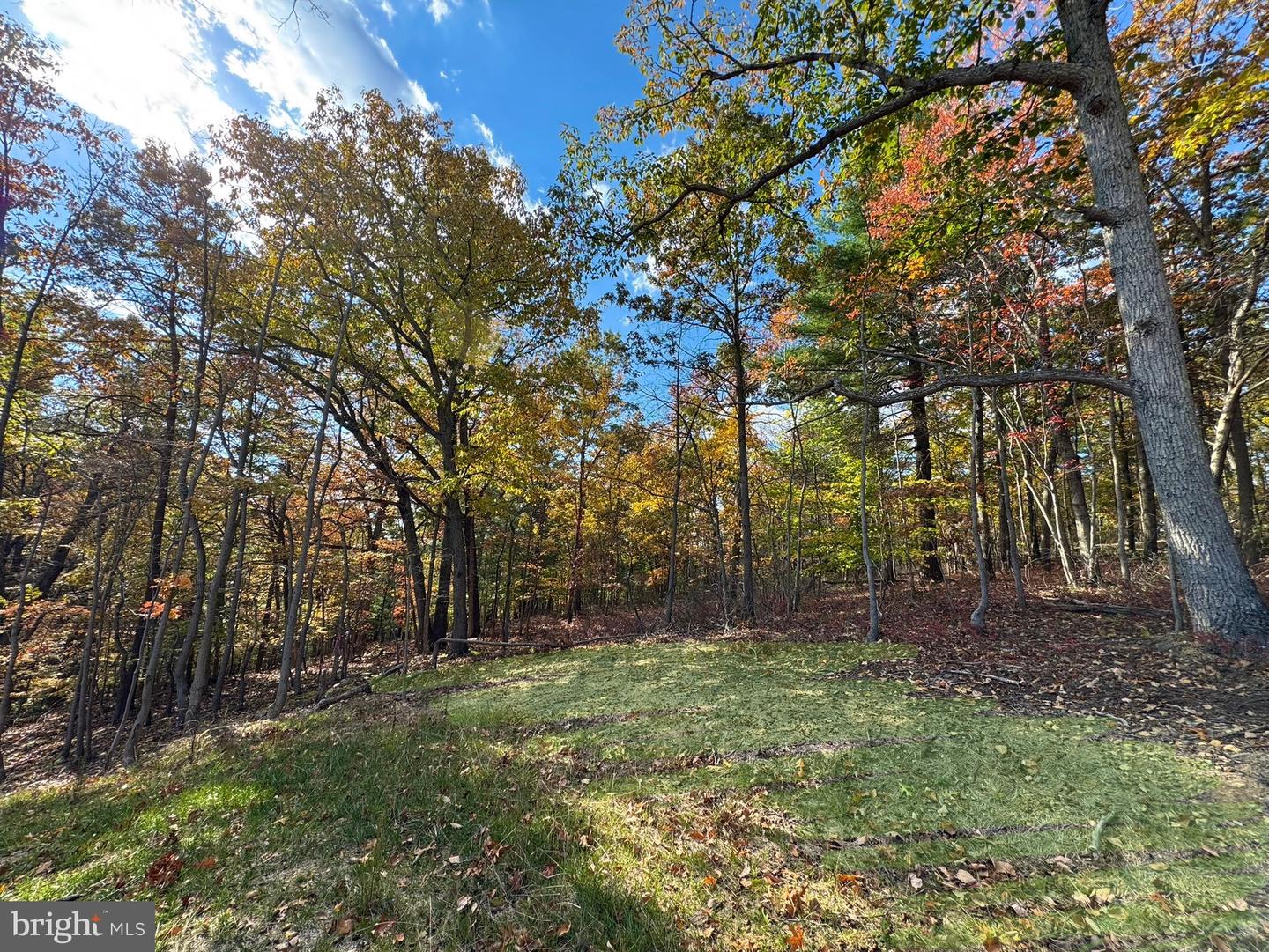 44 MARKHAM PLACE, FRONT ROYAL, Virginia 22630, 3 Bedrooms Bedrooms, ,2 BathroomsBathrooms,Residential,For sale,44 MARKHAM PLACE,VAWR2012832 MLS # VAWR2012832 44 MARKHAM PLACE, FRONT ROYAL, Virginia 22630, 3 Bedrooms Bedrooms, ,2 BathroomsBathrooms,Residential,For sale,44 MARKHAM PLACE,VAWR2012832 MLS # VAWR2012832