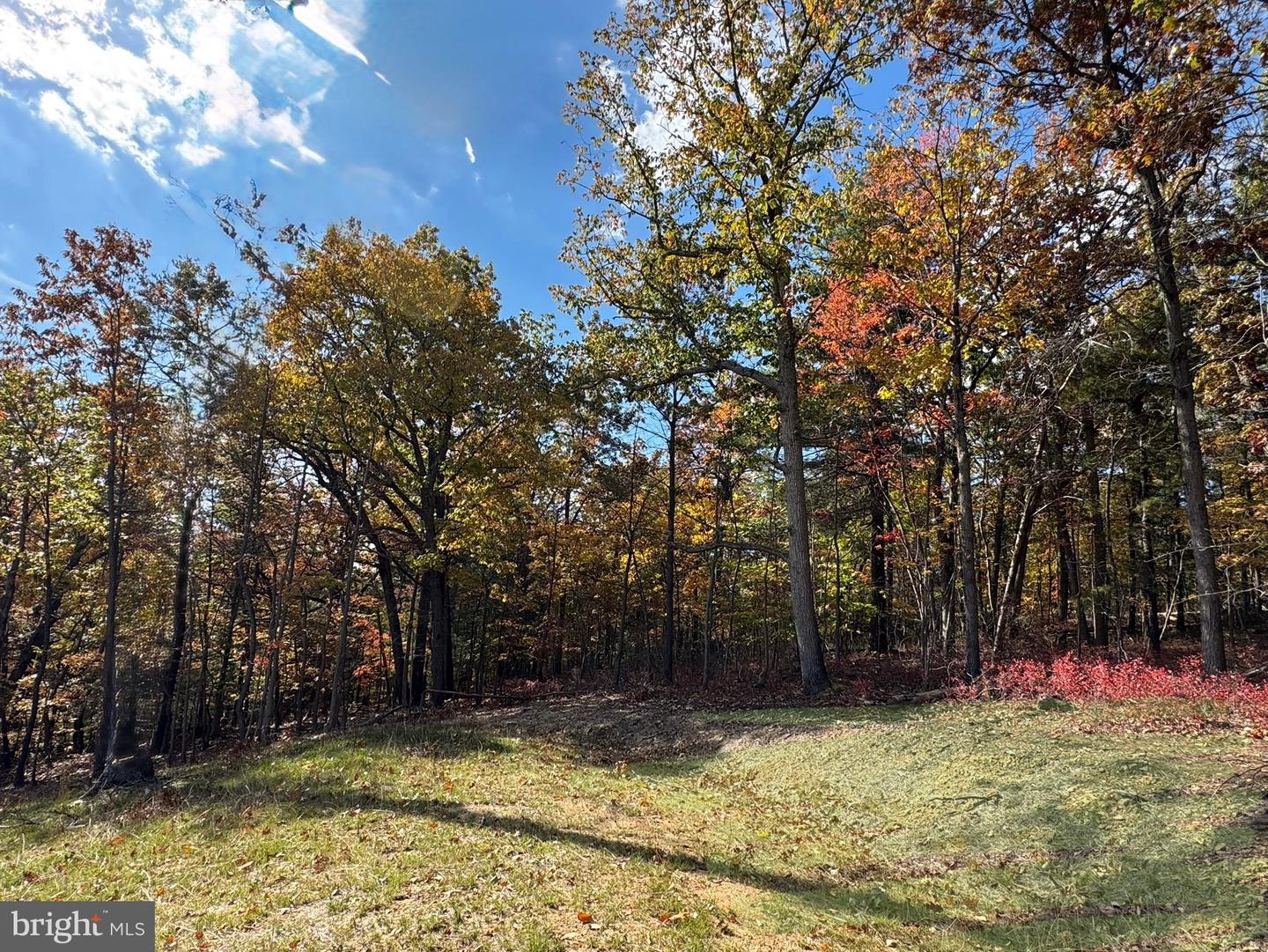 44 MARKHAM PLACE, FRONT ROYAL, Virginia 22630, 3 Bedrooms Bedrooms, ,2 BathroomsBathrooms,Residential,For sale,44 MARKHAM PLACE,VAWR2012832 MLS # VAWR2012832 44 MARKHAM PLACE, FRONT ROYAL, Virginia 22630, 3 Bedrooms Bedrooms, ,2 BathroomsBathrooms,Residential,For sale,44 MARKHAM PLACE,VAWR2012832 MLS # VAWR2012832