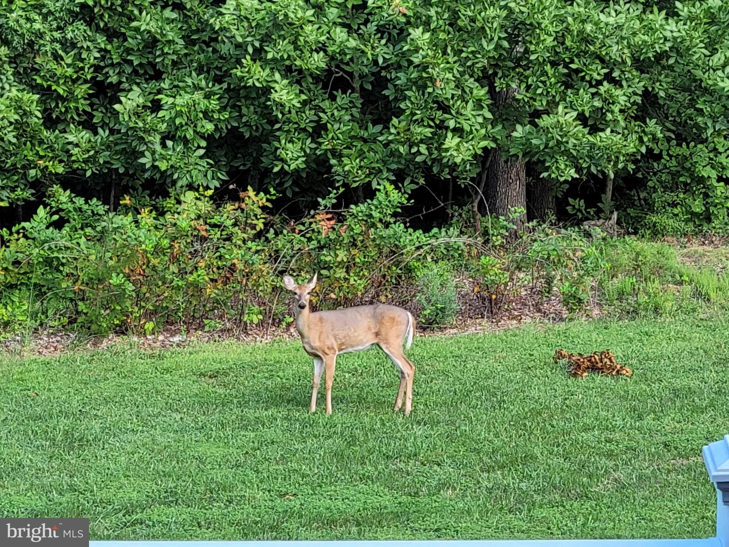 9073 RIBBON FALLS LOOP, BRISTOW, Virginia 20136, 4 Bedrooms Bedrooms, ,3 BathroomsBathrooms,Residential,For sale,9073 RIBBON FALLS LOOP,VAPW2106444 MLS # VAPW2106444