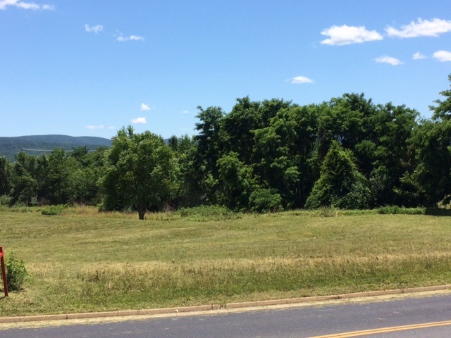 141 LUCY LN, WAYNESBORO, Virginia 22980, ,Land,141 LUCY LN,591918 MLS # 591918 141 LUCY LN, WAYNESBORO, Virginia 22980, ,Land,141 LUCY LN,591918 MLS # 591918