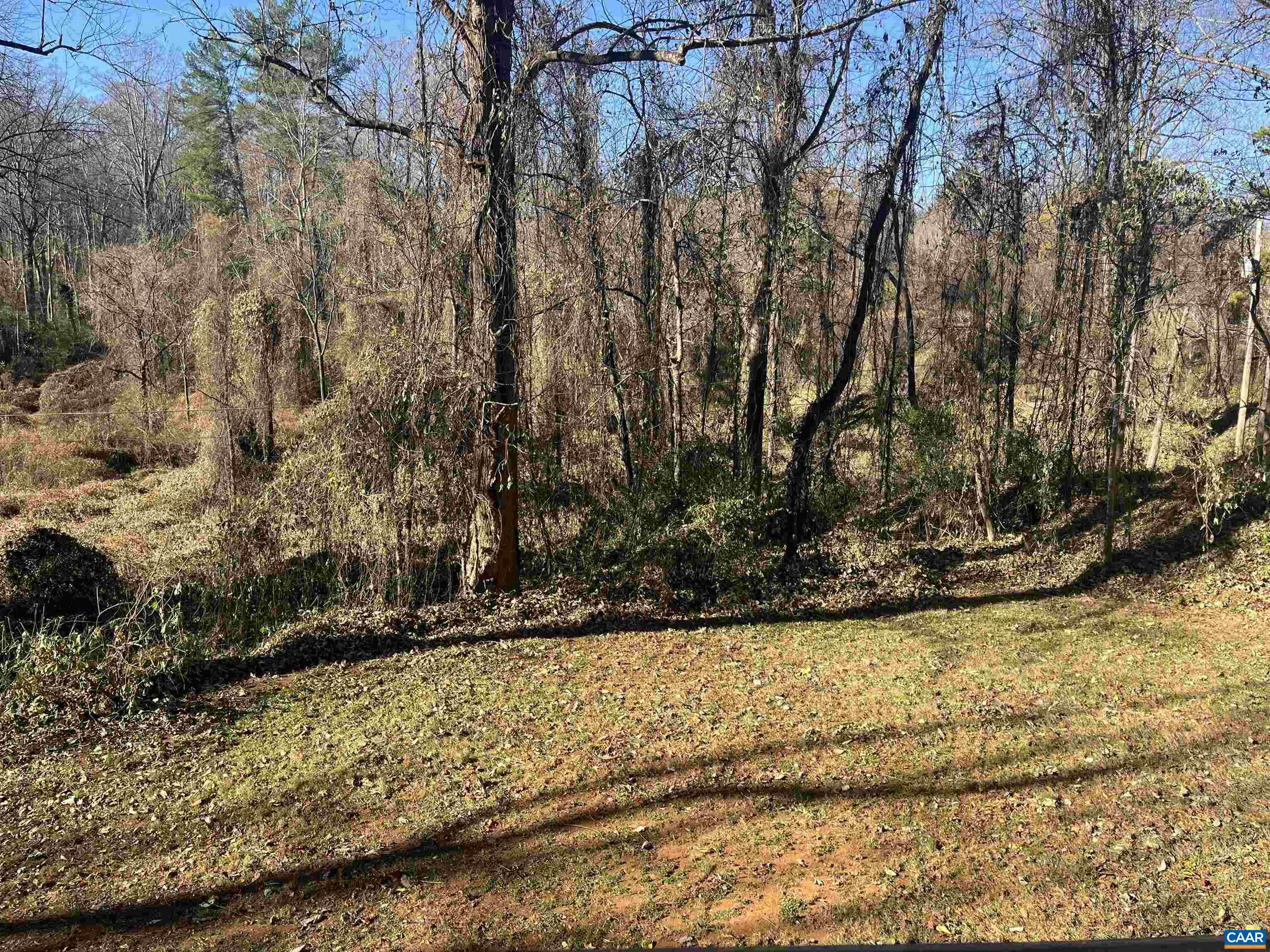 158 BUCKINGHAM CIR, CHARLOTTESVILLE, Virginia 22903, ,Residential,158 BUCKINGHAM CIR,671372 MLS # 671372 158 BUCKINGHAM CIR, CHARLOTTESVILLE, Virginia 22903, ,Residential,158 BUCKINGHAM CIR,671372 MLS # 671372