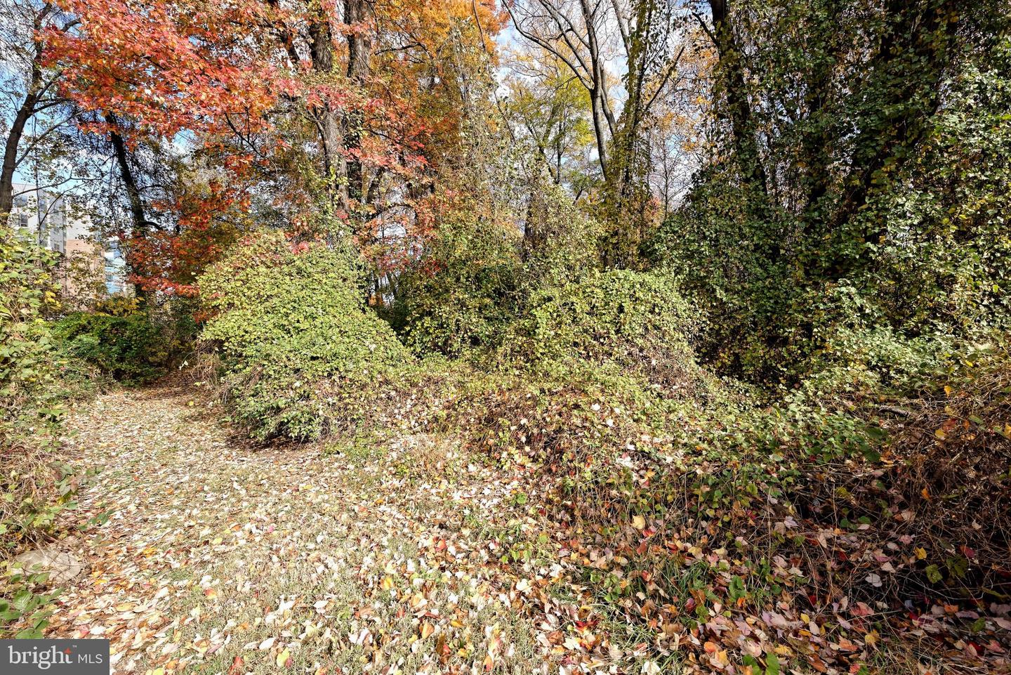 7640 TREMAYNE #202, MCLEAN, Virginia 22102, 2 Bedrooms Bedrooms, ,2 BathroomsBathrooms,Residential,For sale,7640 TREMAYNE #202,VAFX2277556 MLS # VAFX2277556