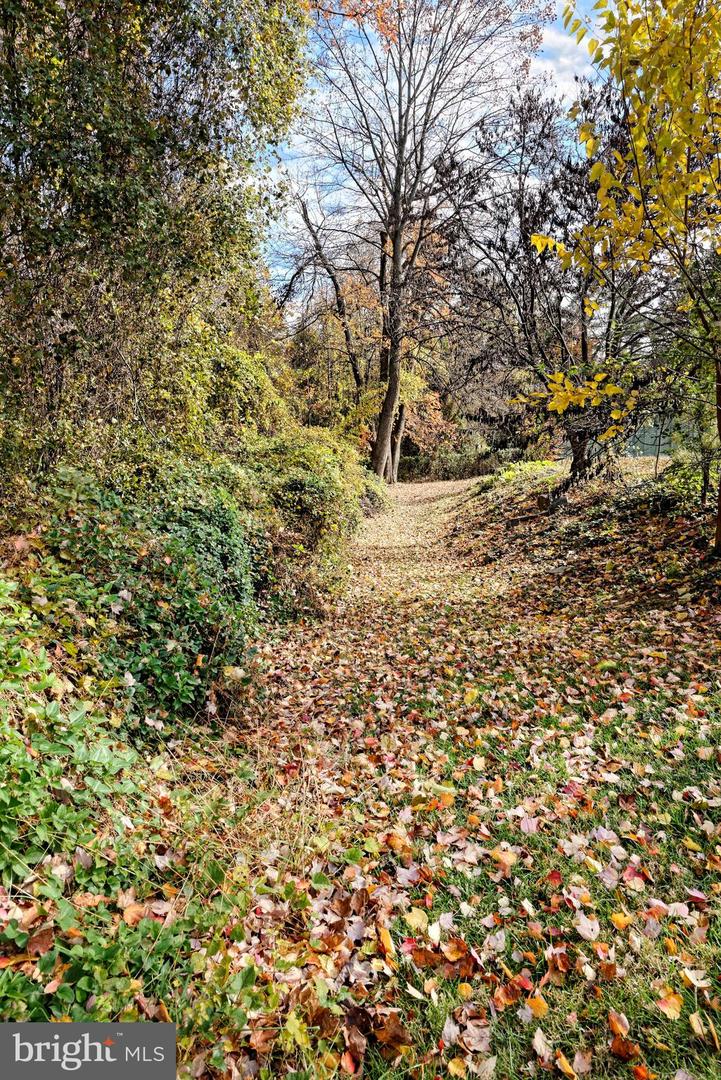 7640 TREMAYNE #202, MCLEAN, Virginia 22102, 2 Bedrooms Bedrooms, ,2 BathroomsBathrooms,Residential,For sale,7640 TREMAYNE #202,VAFX2277556 MLS # VAFX2277556