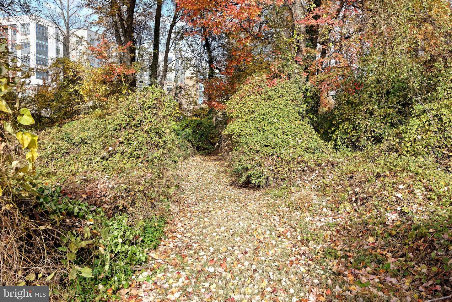 7640 TREMAYNE #202, MCLEAN, Virginia 22102, 2 Bedrooms Bedrooms, ,2 BathroomsBathrooms,Residential,For sale,7640 TREMAYNE #202,VAFX2277556 MLS # VAFX2277556