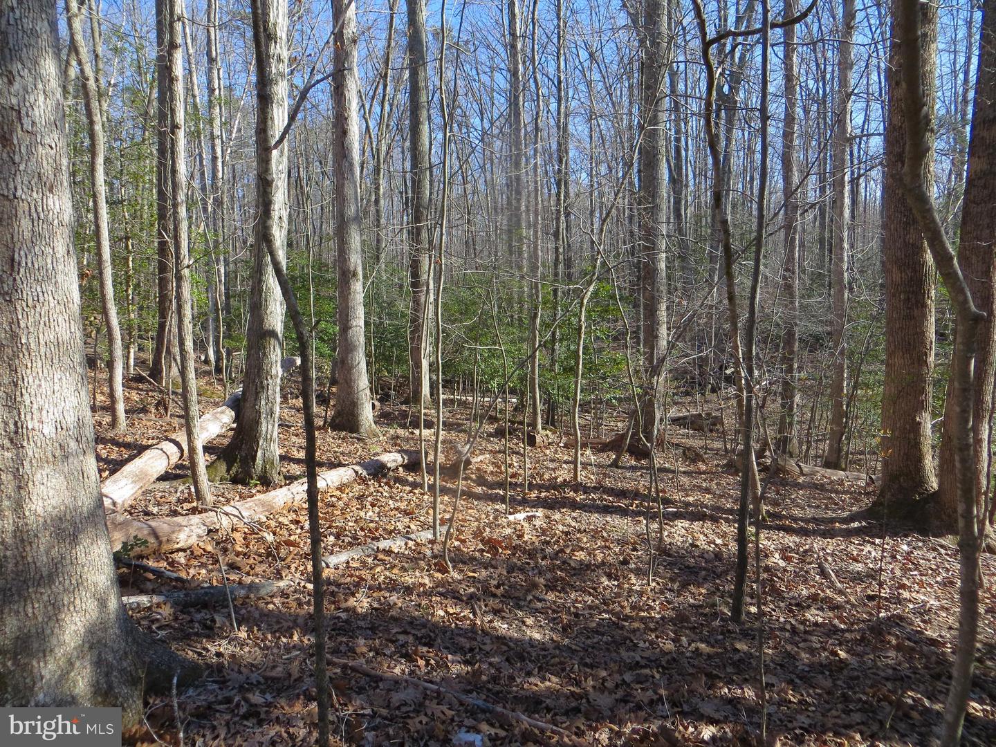 905 EASTOVER PKWY, LOCUST GROVE, Virginia 22508, ,Land,For sale,905 EASTOVER PKWY,VAOR2008156 MLS # VAOR2008156 905 EASTOVER PKWY, LOCUST GROVE, Virginia 22508, ,Land,For sale,905 EASTOVER PKWY,VAOR2008156 MLS # VAOR2008156