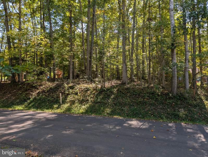 905 EASTOVER PKWY, LOCUST GROVE, Virginia 22508, ,Land,For sale,905 EASTOVER PKWY,VAOR2008156 MLS # VAOR2008156 905 EASTOVER PKWY, LOCUST GROVE, Virginia 22508, ,Land,For sale,905 EASTOVER PKWY,VAOR2008156 MLS # VAOR2008156