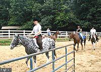 905 EASTOVER PKWY, LOCUST GROVE, Virginia 22508, ,Land,For sale,905 EASTOVER PKWY,VAOR2008156 MLS # VAOR2008156 905 EASTOVER PKWY, LOCUST GROVE, Virginia 22508, ,Land,For sale,905 EASTOVER PKWY,VAOR2008156 MLS # VAOR2008156