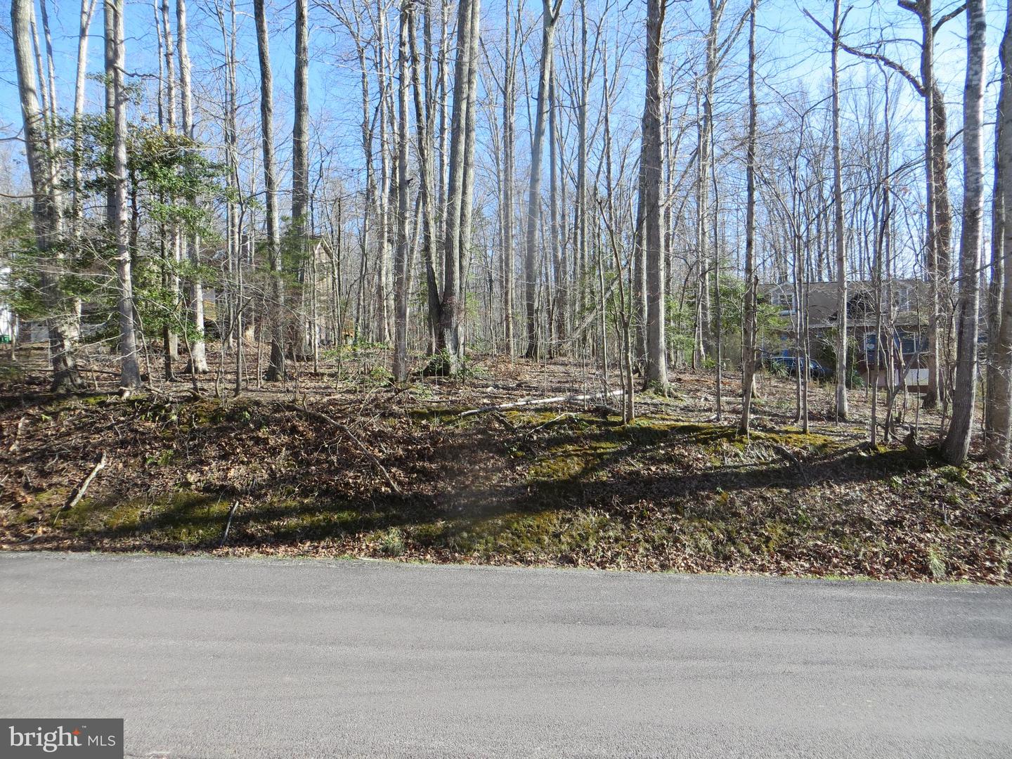 905 EASTOVER PKWY, LOCUST GROVE, Virginia 22508, ,Land,For sale,905 EASTOVER PKWY,VAOR2008156 MLS # VAOR2008156 905 EASTOVER PKWY, LOCUST GROVE, Virginia 22508, ,Land,For sale,905 EASTOVER PKWY,VAOR2008156 MLS # VAOR2008156