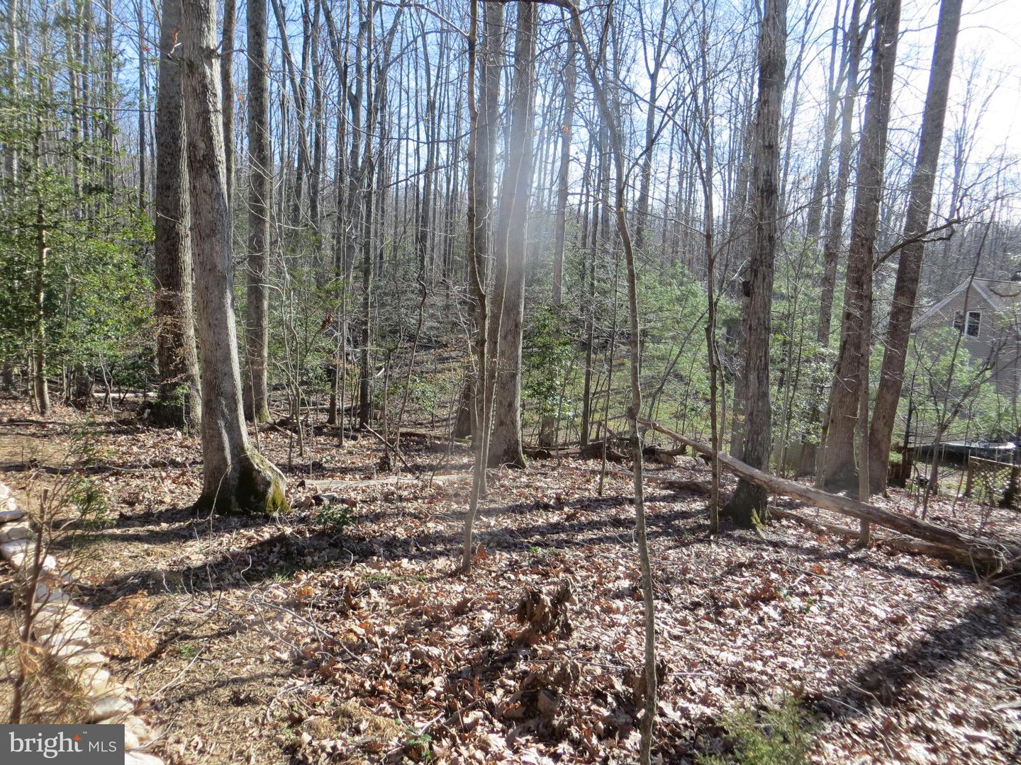 905 EASTOVER PKWY, LOCUST GROVE, Virginia 22508, ,Land,For sale,905 EASTOVER PKWY,VAOR2008156 MLS # VAOR2008156 905 EASTOVER PKWY, LOCUST GROVE, Virginia 22508, ,Land,For sale,905 EASTOVER PKWY,VAOR2008156 MLS # VAOR2008156