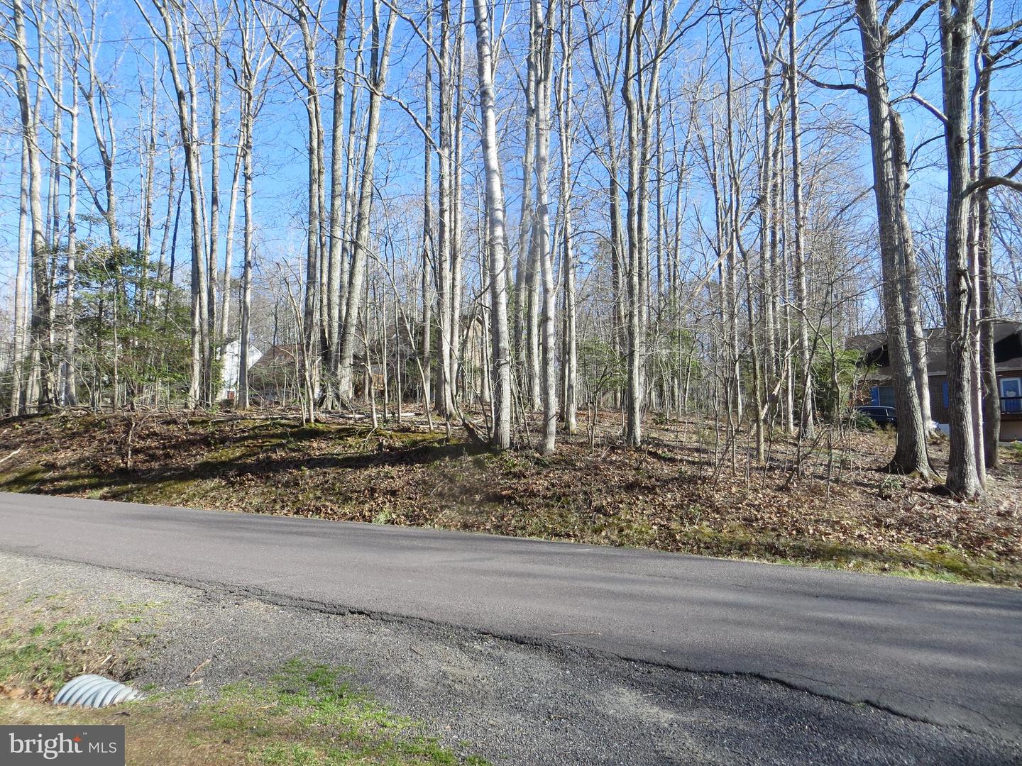 905 EASTOVER PKWY, LOCUST GROVE, Virginia 22508, ,Land,For sale,905 EASTOVER PKWY,VAOR2008156 MLS # VAOR2008156 905 EASTOVER PKWY, LOCUST GROVE, Virginia 22508, ,Land,For sale,905 EASTOVER PKWY,VAOR2008156 MLS # VAOR2008156