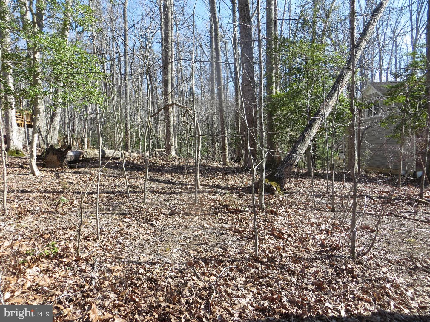 905 EASTOVER PKWY, LOCUST GROVE, Virginia 22508, ,Land,For sale,905 EASTOVER PKWY,VAOR2008156 MLS # VAOR2008156 905 EASTOVER PKWY, LOCUST GROVE, Virginia 22508, ,Land,For sale,905 EASTOVER PKWY,VAOR2008156 MLS # VAOR2008156