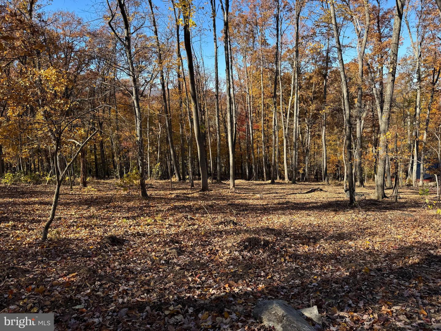 0 DIGGING BEAR LN, PURCELLVILLE, Virginia 20132, ,Land,For sale,0 DIGGING BEAR LN,VALO2111584 MLS # VALO2111584