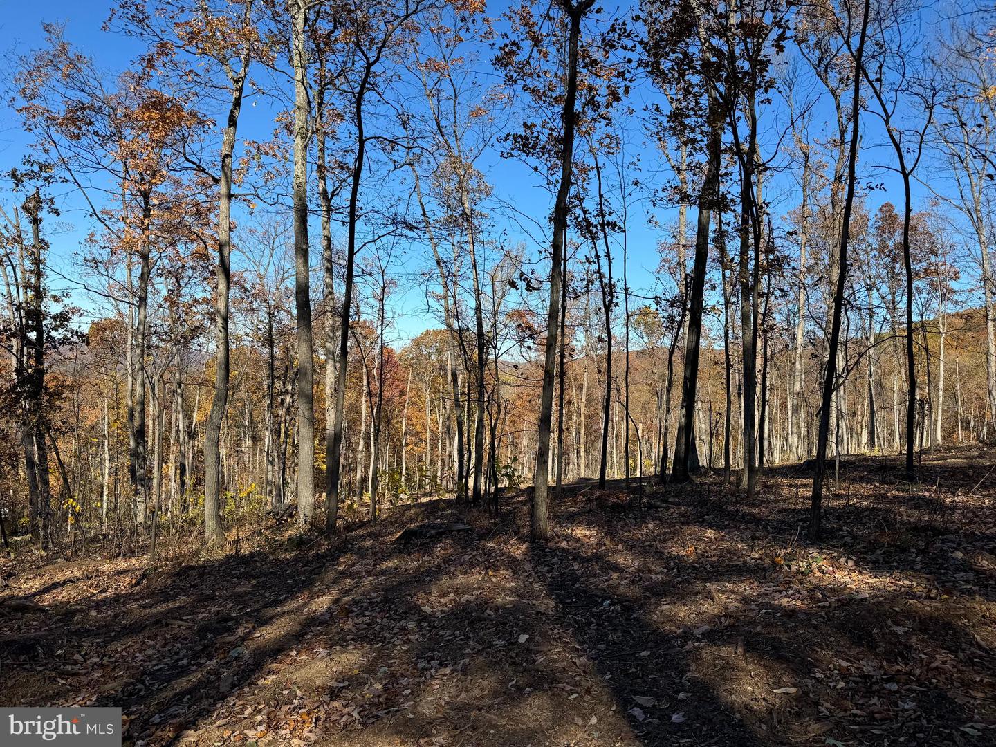 0 DIGGING BEAR LN, PURCELLVILLE, Virginia 20132, ,Land,For sale,0 DIGGING BEAR LN,VALO2111584 MLS # VALO2111584