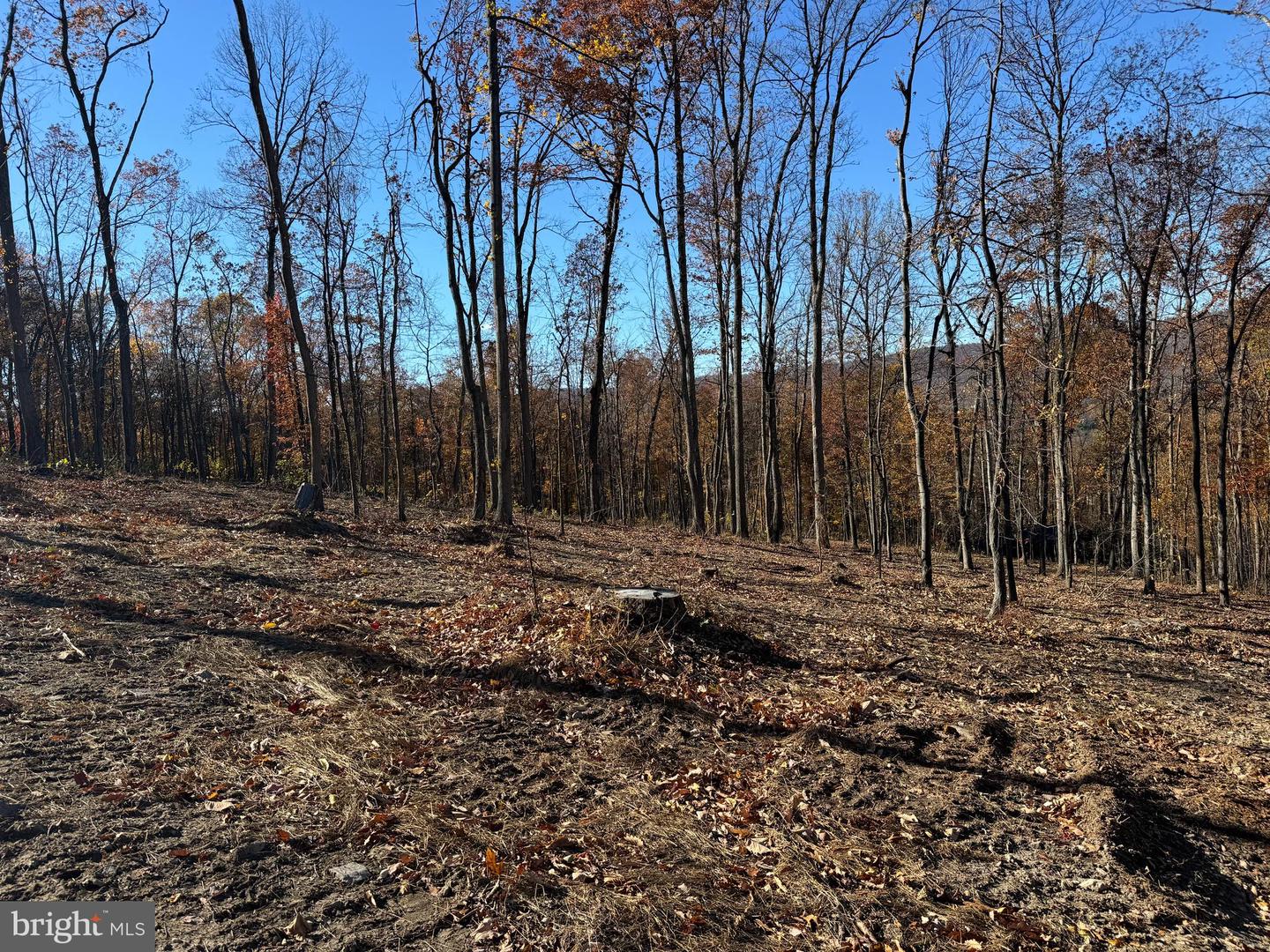 0 DIGGING BEAR LN, PURCELLVILLE, Virginia 20132, ,Land,For sale,0 DIGGING BEAR LN,VALO2111584 MLS # VALO2111584