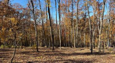 0 DIGGING BEAR LN, PURCELLVILLE, Virginia 20132, ,Land,For sale,0 DIGGING BEAR LN,VALO2111584 MLS # VALO2111584