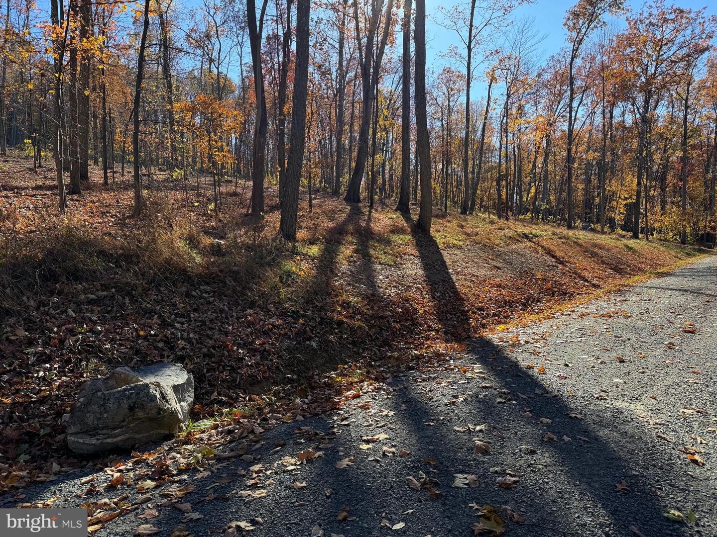 0 DIGGING BEAR LN, HILLSBORO, Virginia 20132, ,Land,For sale,0 DIGGING BEAR LN,VALO2111586 MLS # VALO2111586 0 DIGGING BEAR LN, HILLSBORO, Virginia 20132, ,Land,For sale,0 DIGGING BEAR LN,VALO2111586 MLS # VALO2111586