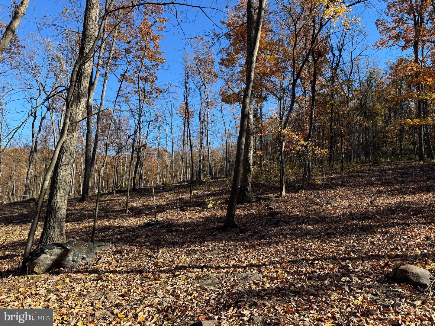 0 DIGGING BEAR LN, HILLSBORO, Virginia 20132, ,Land,For sale,0 DIGGING BEAR LN,VALO2111586 MLS # VALO2111586 0 DIGGING BEAR LN, HILLSBORO, Virginia 20132, ,Land,For sale,0 DIGGING BEAR LN,VALO2111586 MLS # VALO2111586