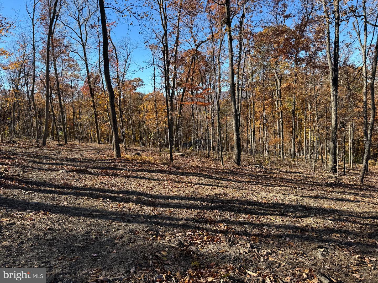 0 DIGGING BEAR LN, HILLSBORO, Virginia 20132, ,Land,For sale,0 DIGGING BEAR LN,VALO2111586 MLS # VALO2111586 0 DIGGING BEAR LN, HILLSBORO, Virginia 20132, ,Land,For sale,0 DIGGING BEAR LN,VALO2111586 MLS # VALO2111586