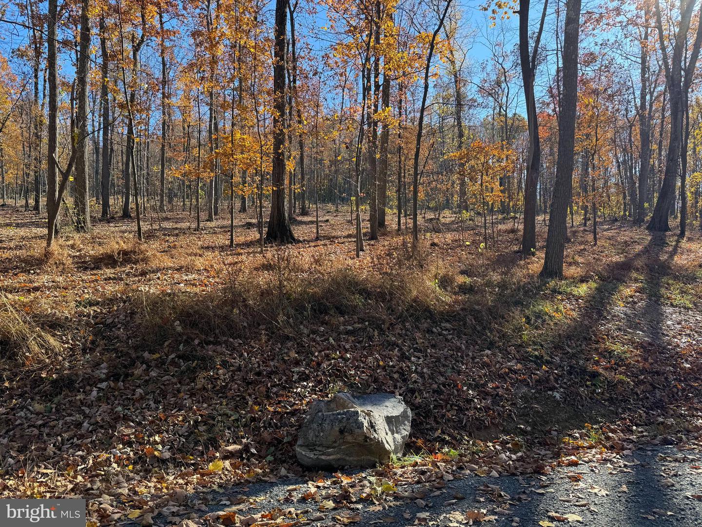 0 DIGGING BEAR LN, PURCELLVILLE, Virginia 20132, ,Land,For sale,0 DIGGING BEAR LN,VALO2111588 MLS # VALO2111588