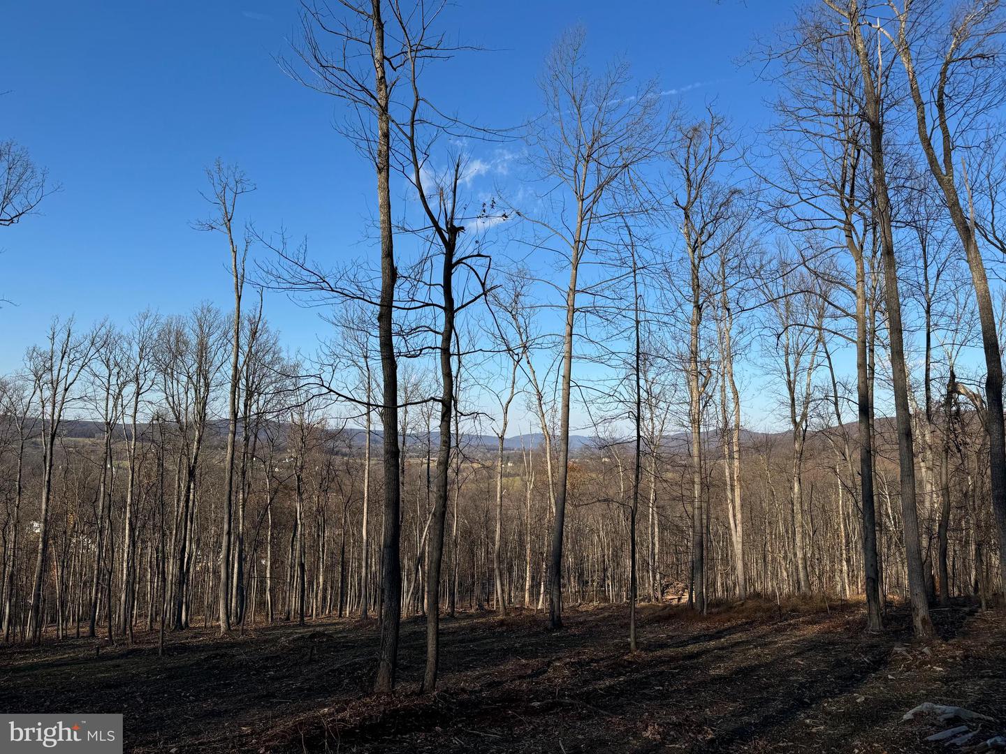 0 DIGGING BEAR LN, PURCELLVILLE, Virginia 20132, ,Land,For sale,0 DIGGING BEAR LN,VALO2111588 MLS # VALO2111588