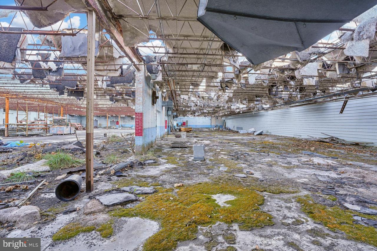 113 AILEEN RD #B-2, FLINT HILL, Virginia 22627, ,Land,For sale,113 AILEEN RD #B-2,VARP2002402 MLS # VARP2002402 113 AILEEN RD #B-2, FLINT HILL, Virginia 22627, ,Land,For sale,113 AILEEN RD #B-2,VARP2002402 MLS # VARP2002402