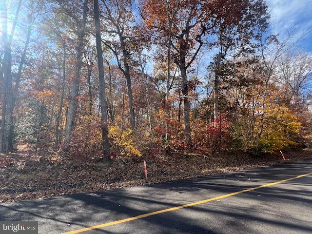 616 MT PLEASANT DR, LOCUST GROVE, Virginia 22508, ,Land,For sale,616 MT PLEASANT DR,VAOR2012828 MLS # VAOR2012828