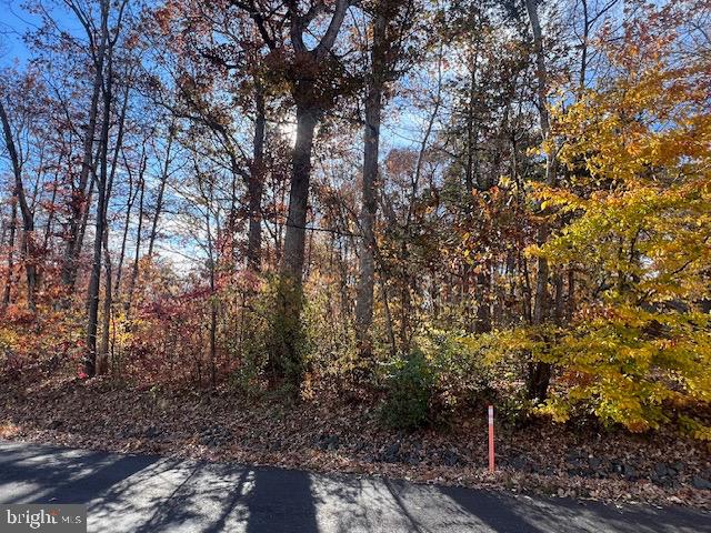 616 MT PLEASANT DR, LOCUST GROVE, Virginia 22508, ,Land,For sale,616 MT PLEASANT DR,VAOR2012828 MLS # VAOR2012828
