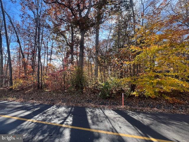 616 MT PLEASANT DR, LOCUST GROVE, Virginia 22508, ,Land,For sale,616 MT PLEASANT DR,VAOR2012828 MLS # VAOR2012828