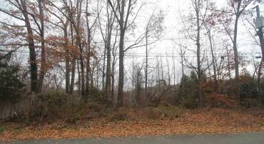 TBD10 WOODHAVEN CT #10B, CHARLOTTESVILLE, Virginia 22902, ,Land,For sale,TBD10 WOODHAVEN CT #10B,671381 MLS # 671381