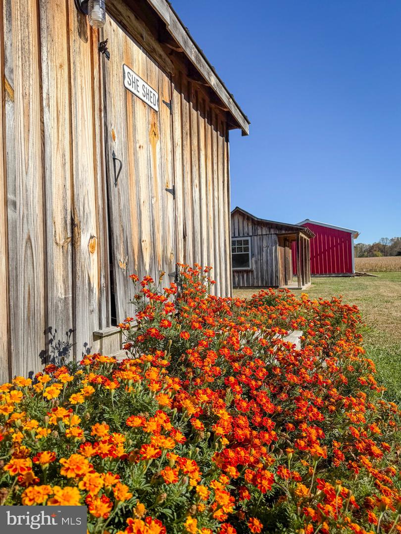 17067 NANZATICO LN, KING GEORGE, Virginia 22485, 4 Bedrooms Bedrooms, ,2 BathroomsBathrooms,Residential,For sale,17067 NANZATICO LN,VAKG2007296 MLS # VAKG2007296
