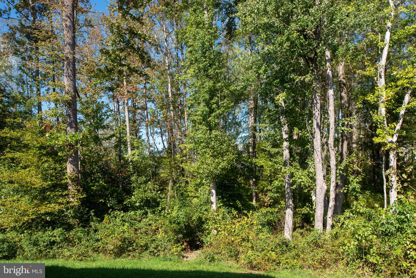 153 HOLLYCREST PL, STAFFORD, Virginia 22554, 5 Bedrooms Bedrooms, ,4 BathroomsBathrooms,Residential,For sale,153 HOLLYCREST PL,VAST2044370 MLS # VAST2044370