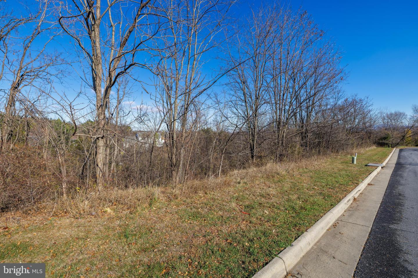 2102 WILLOW HILL DR, HARRISONBURG, Virginia 22801, ,Land,For sale,2102 WILLOW HILL DR,VAHC2000518 MLS # VAHC2000518