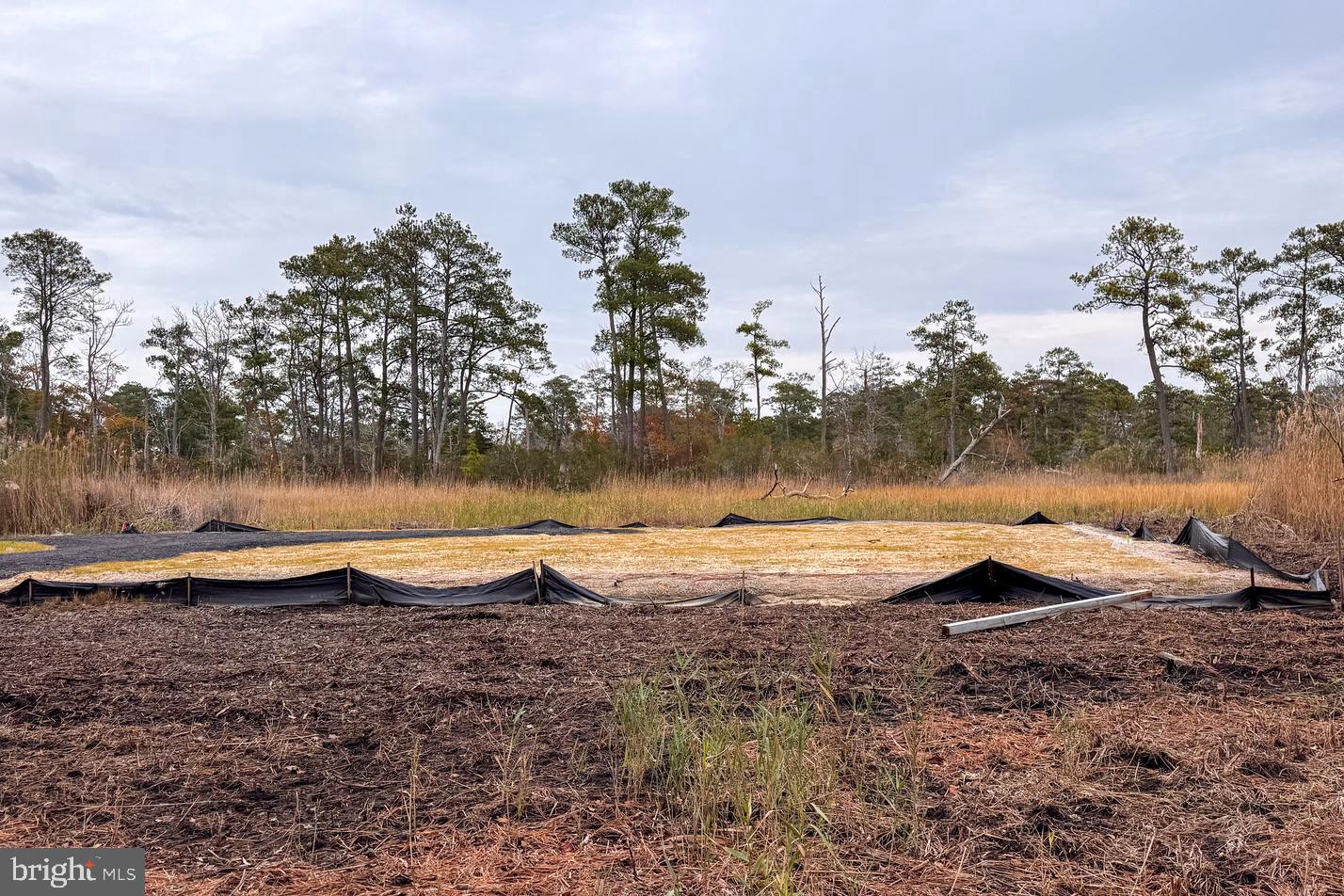 LOT 685 BRADLEY LN, CHINCOTEAGUE ISLAND, Virginia 23336, ,Land,For sale,LOT 685 BRADLEY LN,VAAC2002416 MLS # VAAC2002416