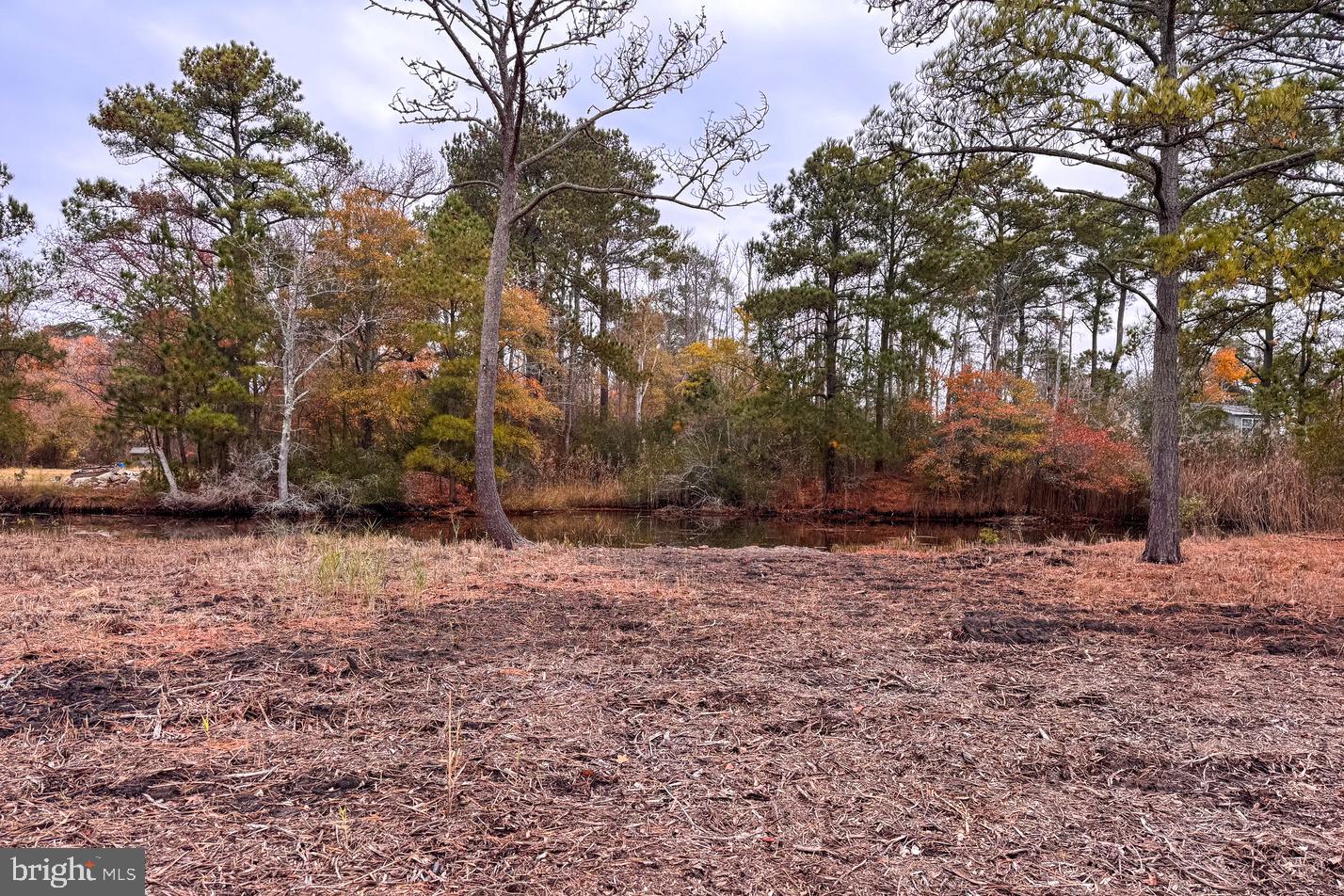 LOT 685 BRADLEY LN, CHINCOTEAGUE ISLAND, Virginia 23336, ,Land,For sale,LOT 685 BRADLEY LN,VAAC2002416 MLS # VAAC2002416