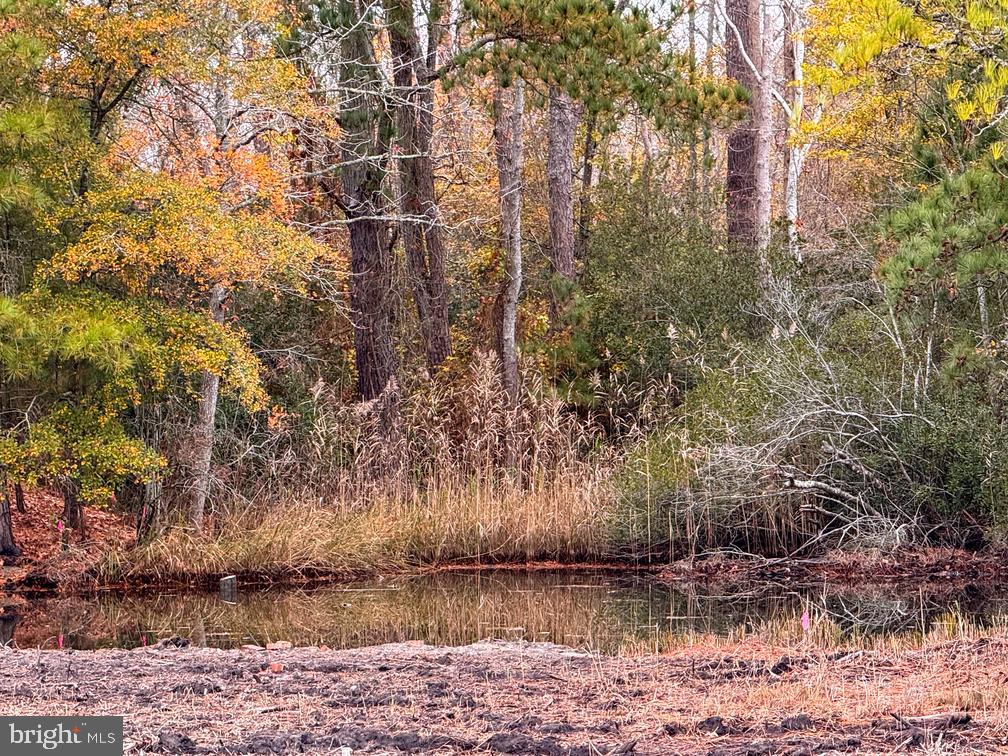 LOT 685 BRADLEY LN, CHINCOTEAGUE ISLAND, Virginia 23336, ,Land,For sale,LOT 685 BRADLEY LN,VAAC2002416 MLS # VAAC2002416