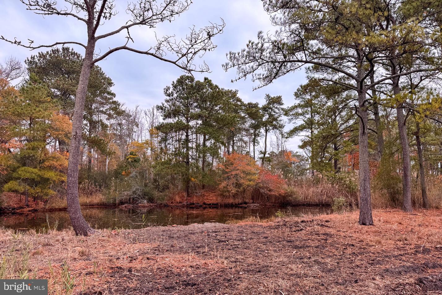 LOT 685 BRADLEY LN, CHINCOTEAGUE ISLAND, Virginia 23336, ,Land,For sale,LOT 685 BRADLEY LN,VAAC2002416 MLS # VAAC2002416