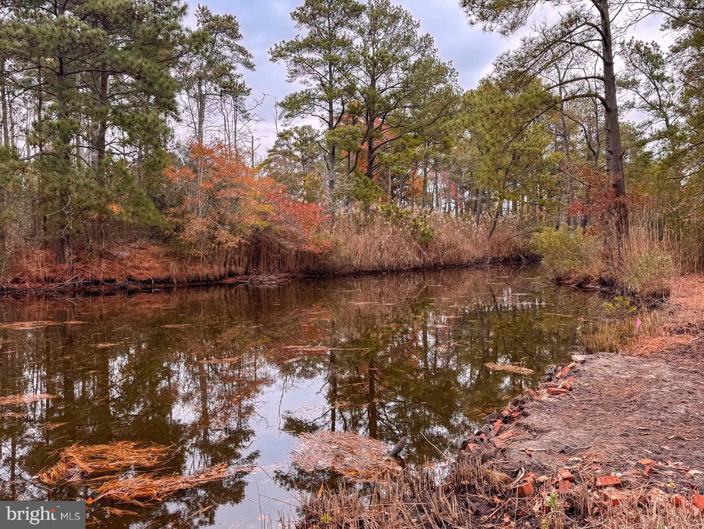 LOT 685 BRADLEY LN, CHINCOTEAGUE ISLAND, Virginia 23336, ,Land,For sale,LOT 685 BRADLEY LN,VAAC2002416 MLS # VAAC2002416