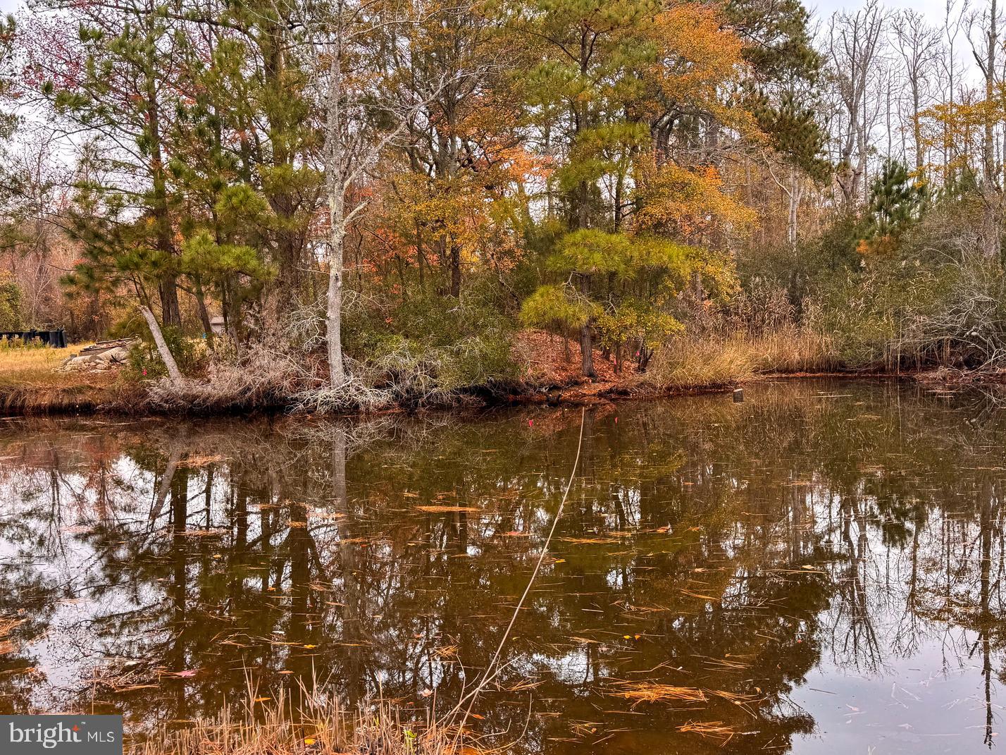 LOT 685 BRADLEY LN, CHINCOTEAGUE ISLAND, Virginia 23336, ,Land,For sale,LOT 685 BRADLEY LN,VAAC2002416 MLS # VAAC2002416