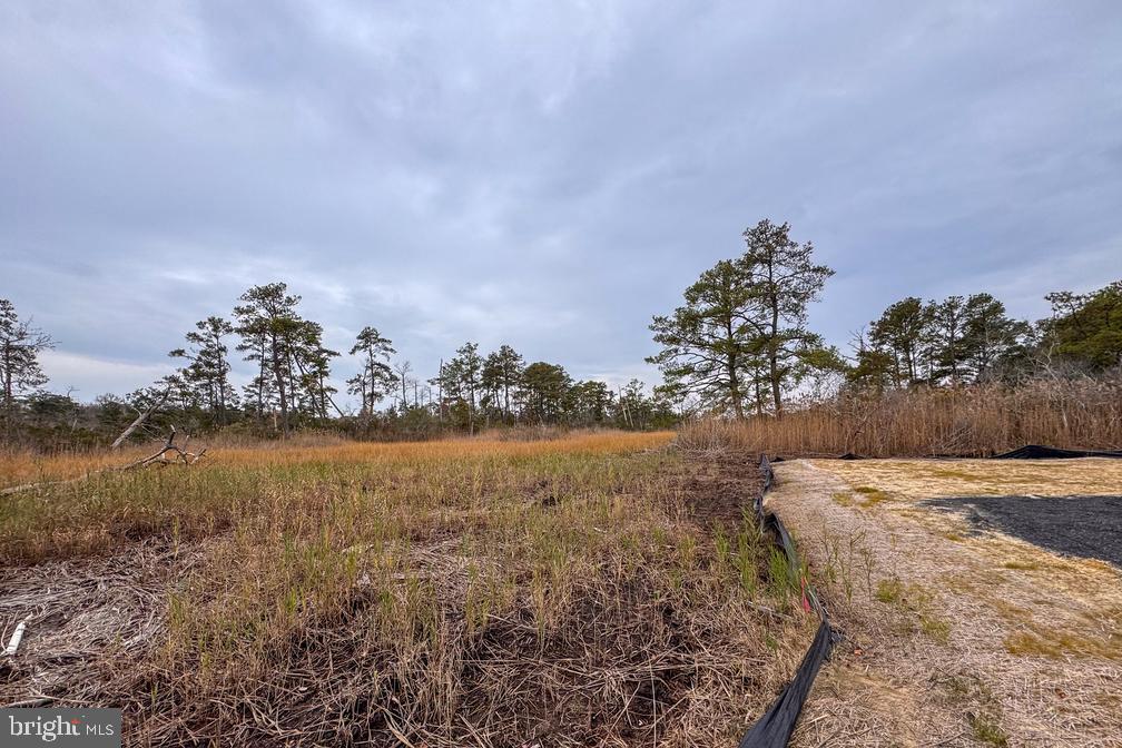 LOT 685 BRADLEY LN, CHINCOTEAGUE ISLAND, Virginia 23336, ,Land,For sale,LOT 685 BRADLEY LN,VAAC2002416 MLS # VAAC2002416