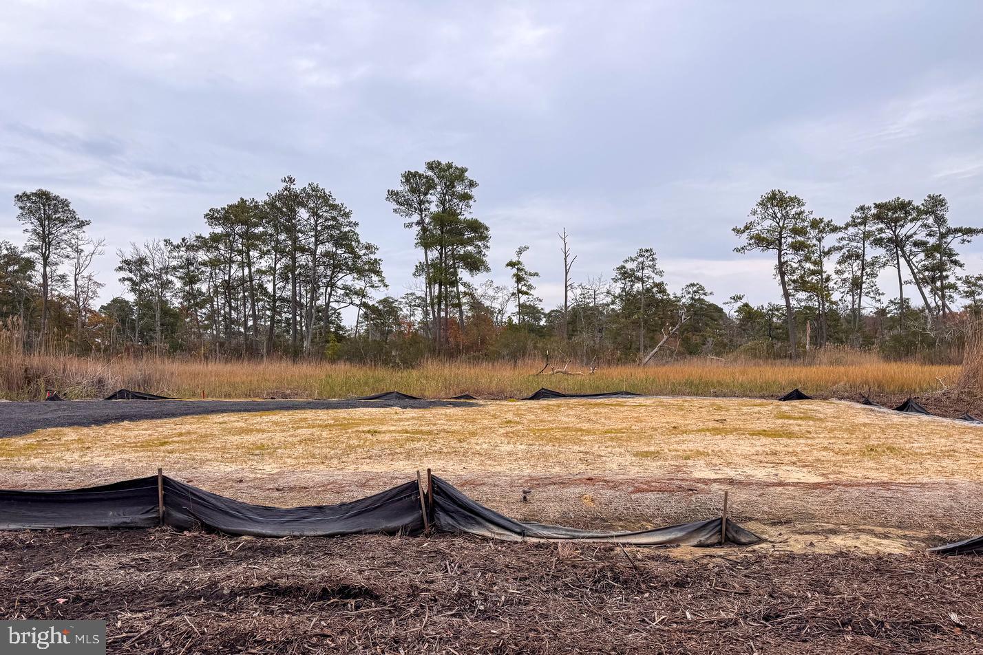 LOT 685 BRADLEY LN, CHINCOTEAGUE ISLAND, Virginia 23336, ,Land,For sale,LOT 685 BRADLEY LN,VAAC2002416 MLS # VAAC2002416