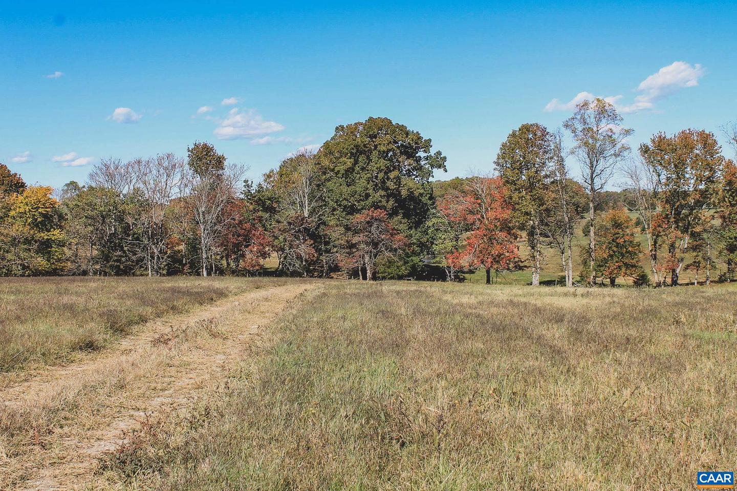 LOT 14 BRIERY CREEK RD, SCOTTSVILLE, Virginia 24590, ,Land,For sale,LOT 14 BRIERY CREEK RD,671393 MLS # 671393