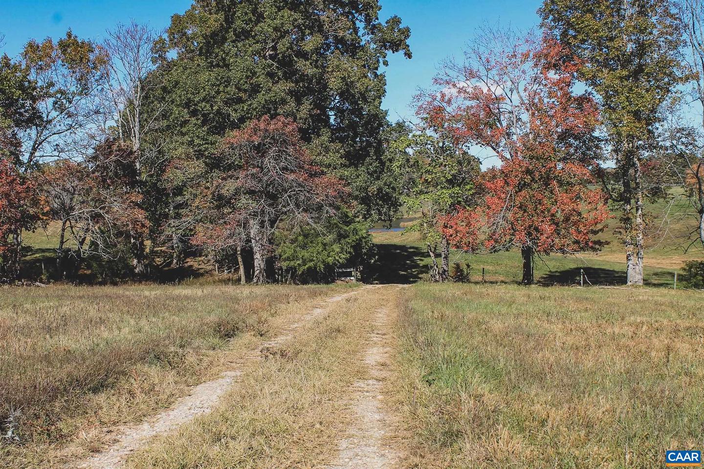 LOT 14 BRIERY CREEK RD, SCOTTSVILLE, Virginia 24590, ,Land,For sale,LOT 14 BRIERY CREEK RD,671393 MLS # 671393