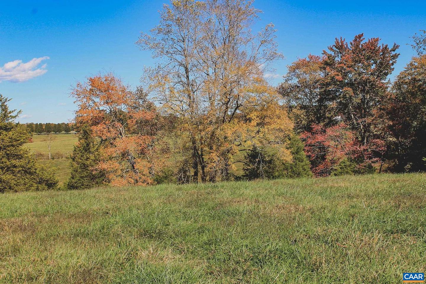 LOT 14 BRIERY CREEK RD, SCOTTSVILLE, Virginia 24590, ,Land,For sale,LOT 14 BRIERY CREEK RD,671393 MLS # 671393