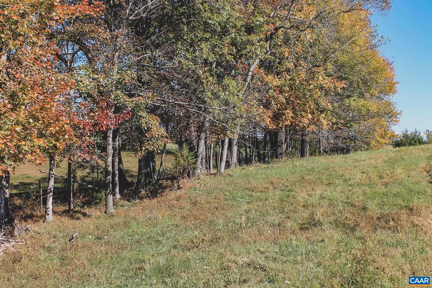 LOT 14 BRIERY CREEK RD, SCOTTSVILLE, Virginia 24590, ,Land,For sale,LOT 14 BRIERY CREEK RD,671393 MLS # 671393