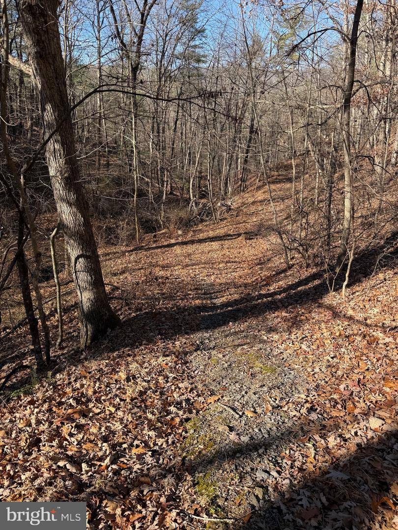 SUSAN RD, MT JACKSON, Virginia 22842, ,Land,For sale,SUSAN RD,VASH2013070 MLS # VASH2013070 SUSAN RD, MT JACKSON, Virginia 22842, ,Land,For sale,SUSAN RD,VASH2013070 MLS # VASH2013070