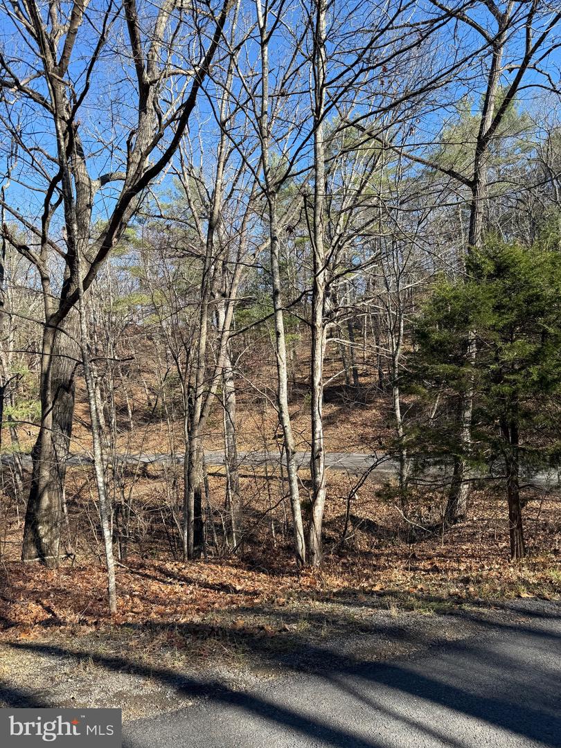 SUSAN RD, MT JACKSON, Virginia 22842, ,Land,For sale,SUSAN RD,VASH2013070 MLS # VASH2013070 SUSAN RD, MT JACKSON, Virginia 22842, ,Land,For sale,SUSAN RD,VASH2013070 MLS # VASH2013070