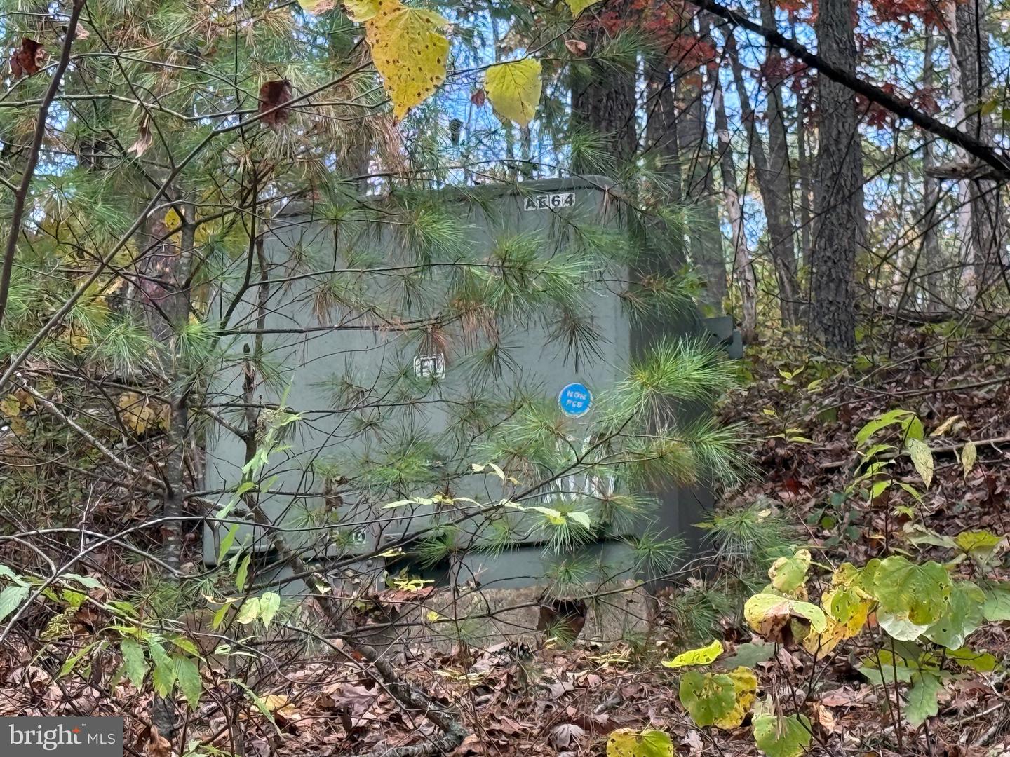 SUSAN RD, MT JACKSON, Virginia 22842, ,Land,For sale,SUSAN RD,VASH2013070 MLS # VASH2013070 SUSAN RD, MT JACKSON, Virginia 22842, ,Land,For sale,SUSAN RD,VASH2013070 MLS # VASH2013070