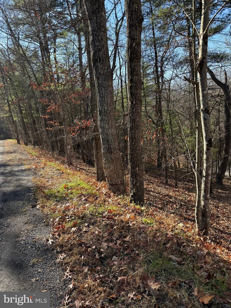 SUSAN RD, MT JACKSON, Virginia 22842, ,Land,For sale,SUSAN RD,VASH2013070 MLS # VASH2013070 SUSAN RD, MT JACKSON, Virginia 22842, ,Land,For sale,SUSAN RD,VASH2013070 MLS # VASH2013070